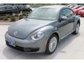 Platinum Gray Metallic - Beetle 2.5L Photo No. 3