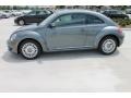 Platinum Gray Metallic - Beetle 2.5L Photo No. 5
