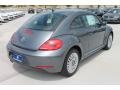 Platinum Gray Metallic - Beetle 2.5L Photo No. 9