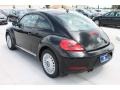 Black - Beetle 2.5L Photo No. 7