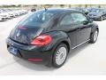 Black - Beetle 2.5L Photo No. 9