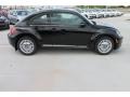 Black - Beetle 2.5L Photo No. 10