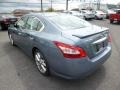 2010 Ocean Gray Nissan Maxima 3.5 SV Sport  photo #5