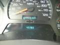 Dark Gray Metallic - TrailBlazer LS 4x4 Photo No. 20