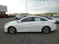Porcelain White Pearl - Sonata Hybrid Limited Photo No. 4