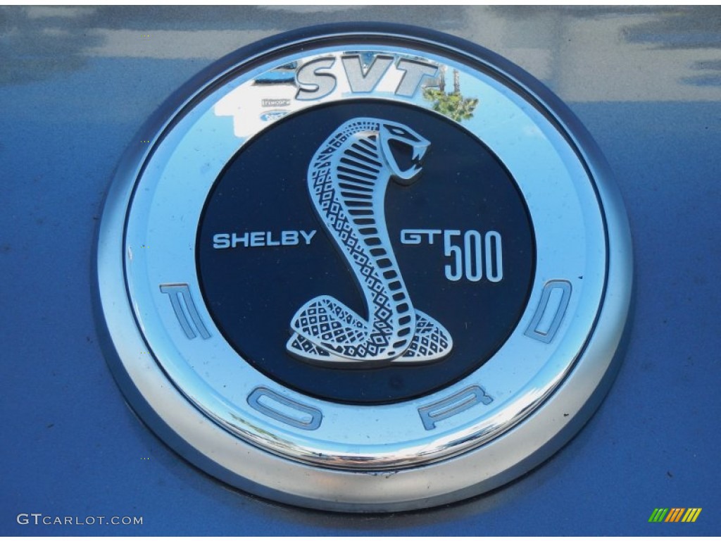 2010 Mustang Shelby GT500 Coupe - Sterling Grey Metallic / Charcoal Black photo #9