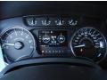 Steel Gray Gauges Photo for 2011 Ford F150 #80478209