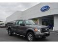 2013 Sterling Gray Metallic Ford F150 STX SuperCab 4x4  photo #1