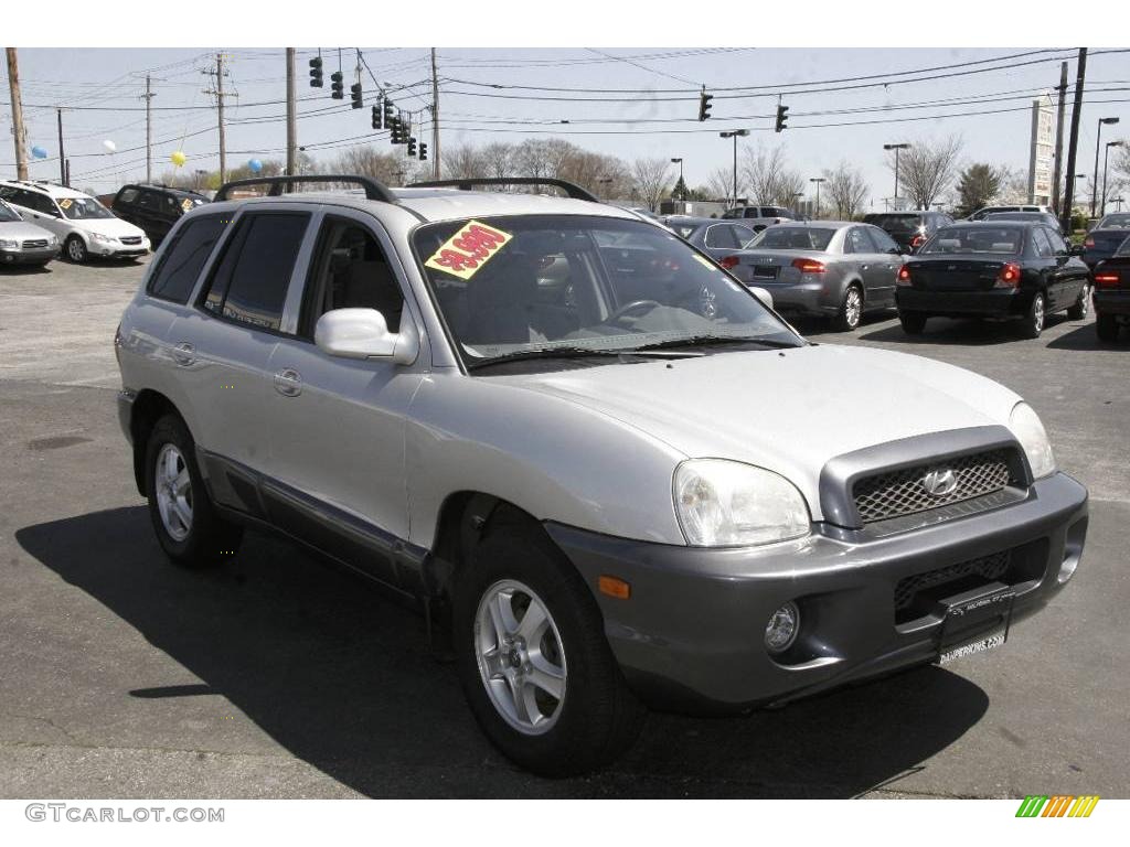 2003 Santa Fe LX 4WD - Pewter / Gray photo #3