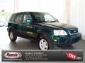 2001 Clover Green Pearl Honda CR-V Special Edition 4WD  photo #1