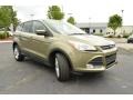 Ginger Ale Metallic 2013 Ford Escape SE 2.0L EcoBoost Exterior