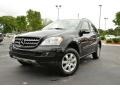 Black 2007 Mercedes-Benz ML 350 4Matic Exterior
