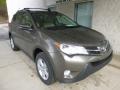 Pyrite Mica - RAV4 XLE AWD Photo No. 7