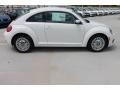 Candy White - Beetle 2.5L Photo No. 10