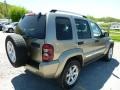 2006 Light Khaki Metallic Jeep Liberty Limited 4x4  photo #5