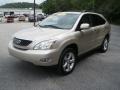 2008 Golden Almond Metallic Lexus RX 350  photo #13