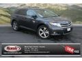 Magnetic Gray Metallic - Venza LE AWD Photo No. 1