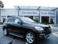 Black - ML 350 4Matic Photo No. 1