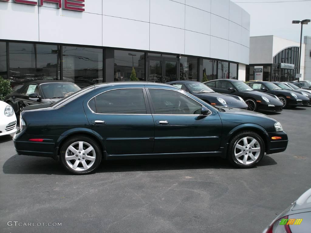2002 Maxima GLE - Sherwood Green Pearl / Frost photo #2