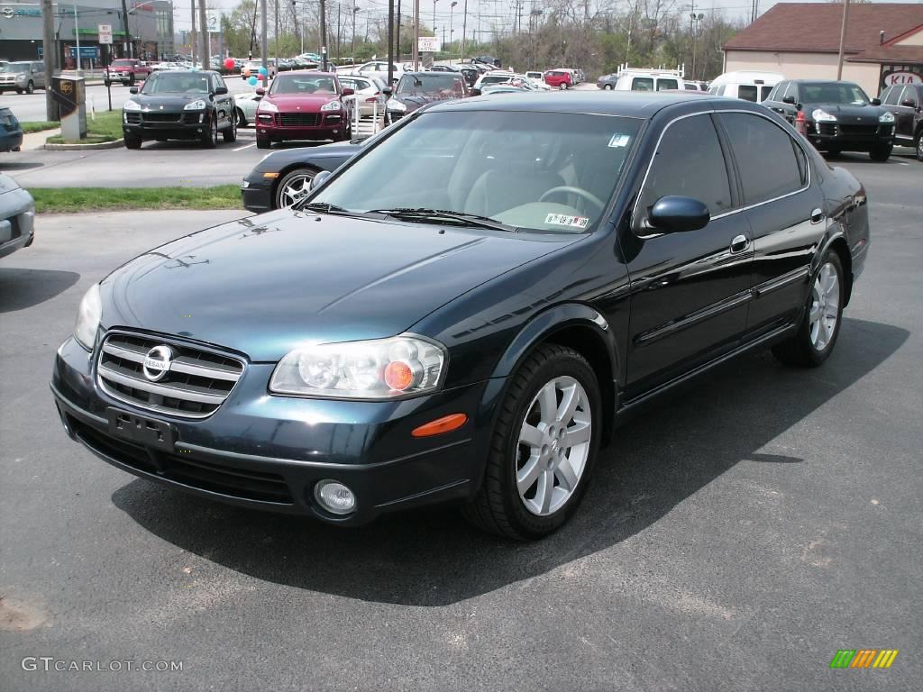 2002 Maxima GLE - Sherwood Green Pearl / Frost photo #3