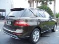 Dakota Brown Metallic - ML 350 4Matic Photo No. 3