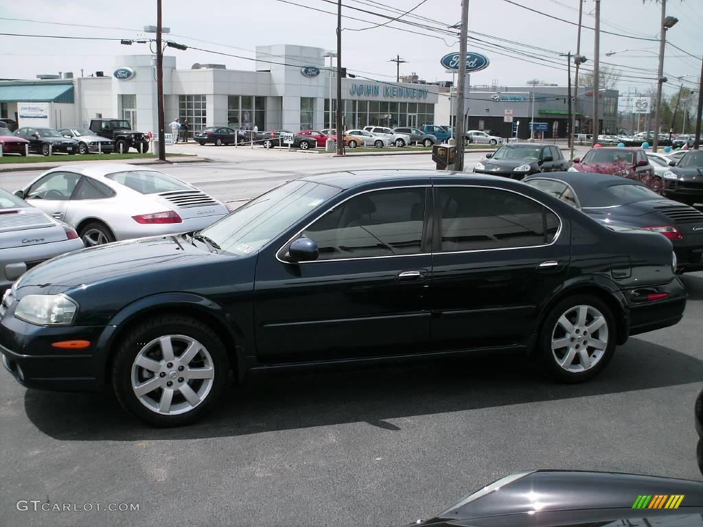 2002 Maxima GLE - Sherwood Green Pearl / Frost photo #4
