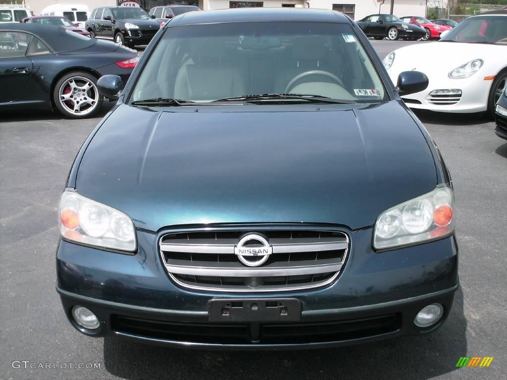 2002 Maxima GLE - Sherwood Green Pearl / Frost photo #5