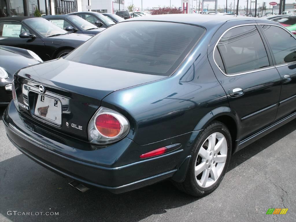 2002 Maxima GLE - Sherwood Green Pearl / Frost photo #7