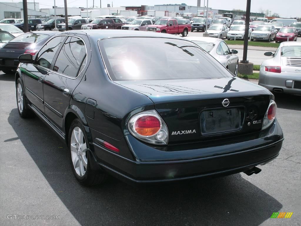 2002 Maxima GLE - Sherwood Green Pearl / Frost photo #8