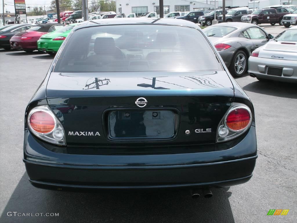 2002 Maxima GLE - Sherwood Green Pearl / Frost photo #9