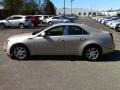 Gold Mist - CTS Sedan Photo No. 4