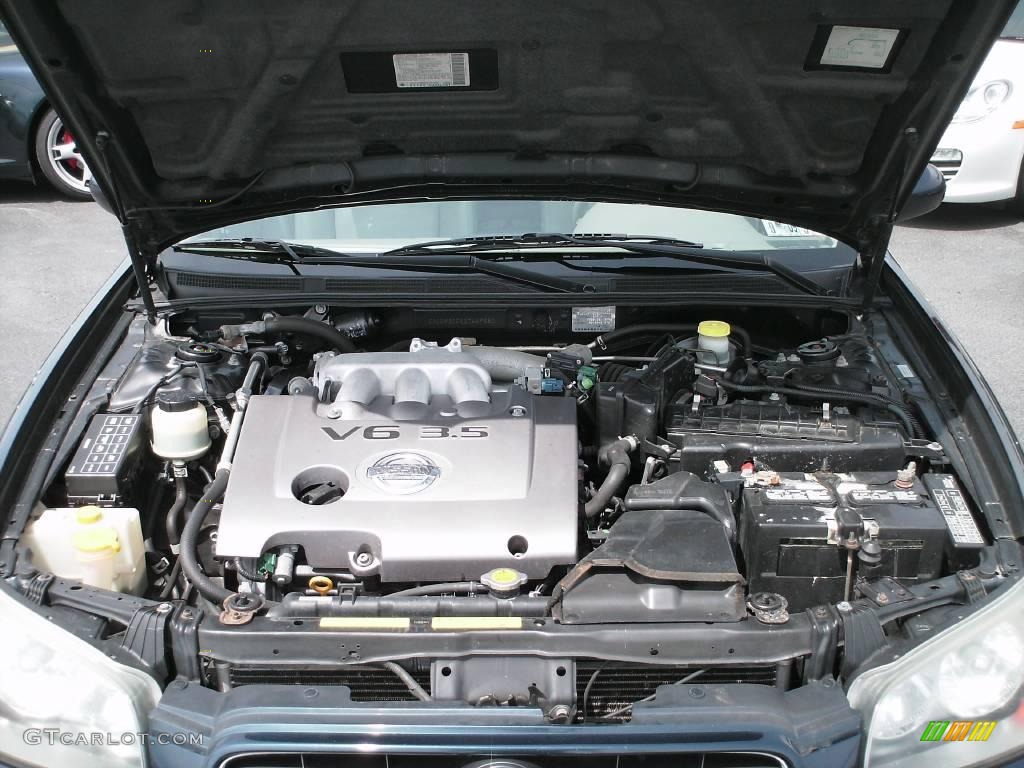 2002 Maxima GLE - Sherwood Green Pearl / Frost photo #19