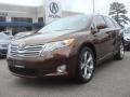 Sunset Bronze Mica - Venza V6 AWD Photo No. 1