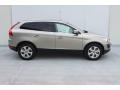 Seashell Metallic - XC60 3.2 Photo No. 4
