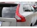 Seashell Metallic - XC60 3.2 Photo No. 6