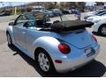 Reflex Silver Metallic - New Beetle GLS Convertible Photo No. 10