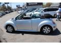 Reflex Silver Metallic - New Beetle GLS Convertible Photo No. 11