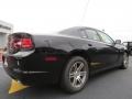 2013 Pitch Black Dodge Charger Police  photo #7