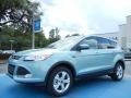 2013 Frosted Glass Metallic Ford Escape SE 2.0L EcoBoost  photo #1