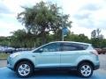 Frosted Glass Metallic 2013 Ford Escape SE 2.0L EcoBoost Exterior