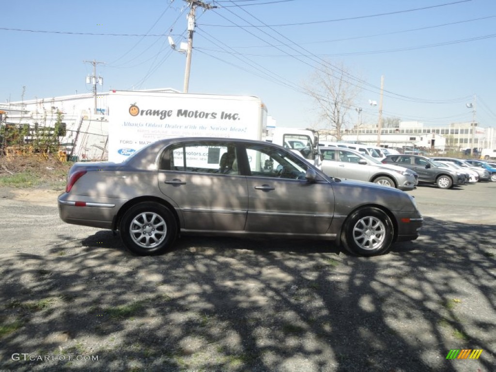 2008 Amanti  - Pewter Beige / Beige photo #6