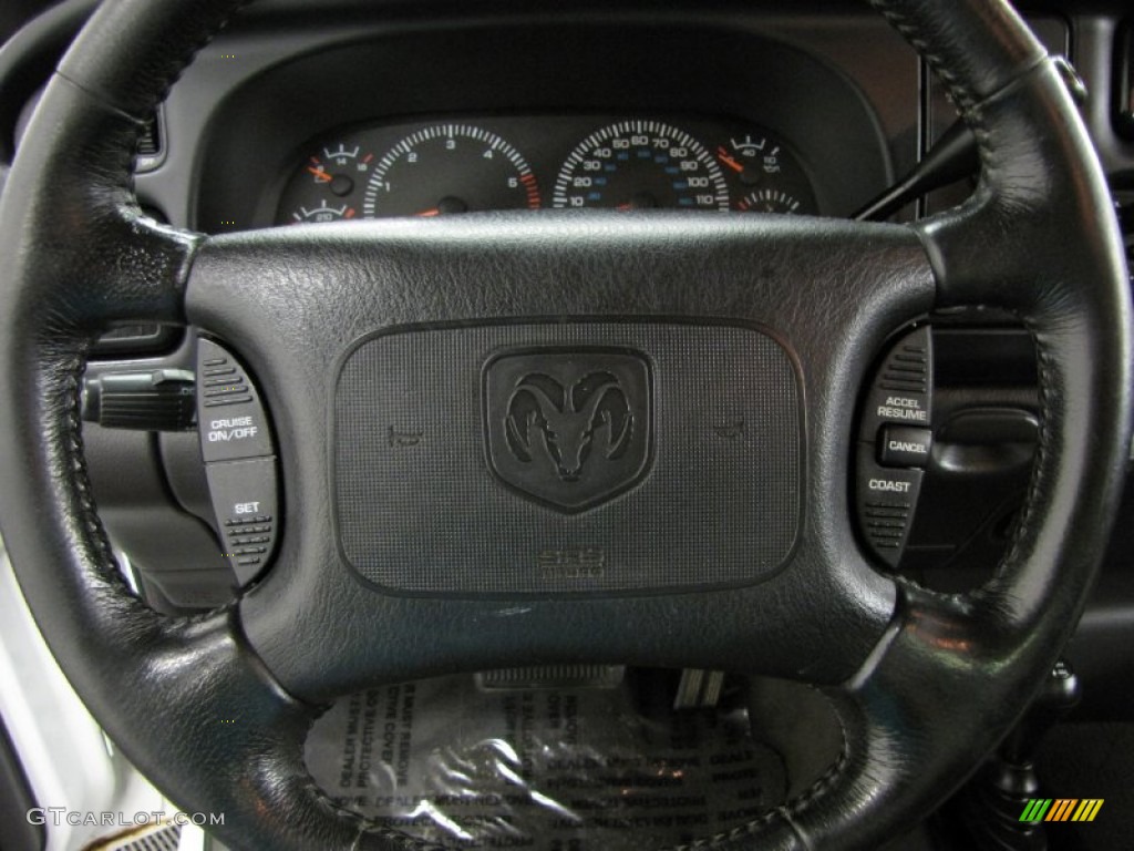 2000 Dodge Ram 1500 Sport Regular Cab 4x4 Mist Gray Steering Wheel Photo #80527513