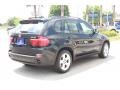 Jet Black - X5 3.0si Photo No. 5