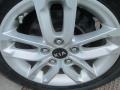 Snow White Pearl - Optima LX Photo No. 32