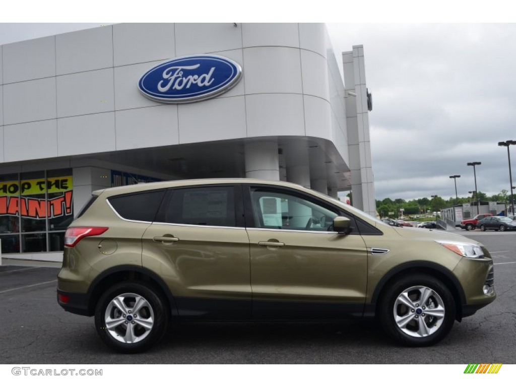 2013 Escape SE 1.6L EcoBoost - Ginger Ale Metallic / Medium Light Stone photo #2