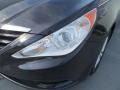 2011 Black Plum Pearl Hyundai Sonata GLS  photo #12