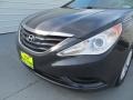 2011 Black Plum Pearl Hyundai Sonata GLS  photo #13