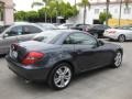 2010 Steel Grey Metallic Mercedes-Benz SLK 300 Roadster  photo #2