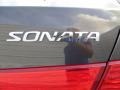 Willow Gray - Sonata GLS Photo No. 20