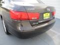 Willow Gray - Sonata GLS Photo No. 21